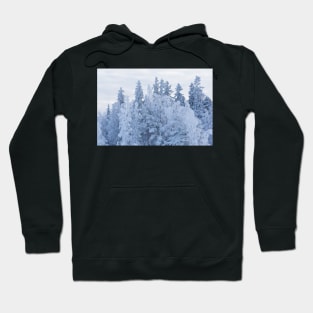 Trees covered in snow Hoodie